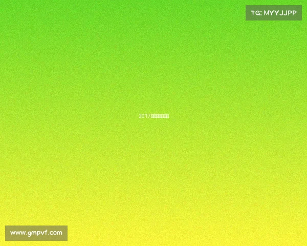 2017乒乓球女单冠军